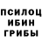 Псилоцибиновые грибы Cubensis King Barillo