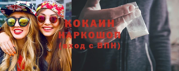 гидра Новодвинск