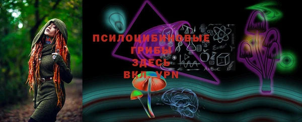 гидропоника Новозыбков