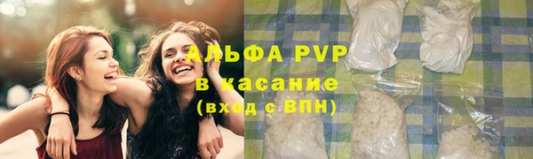 гидра Новодвинск
