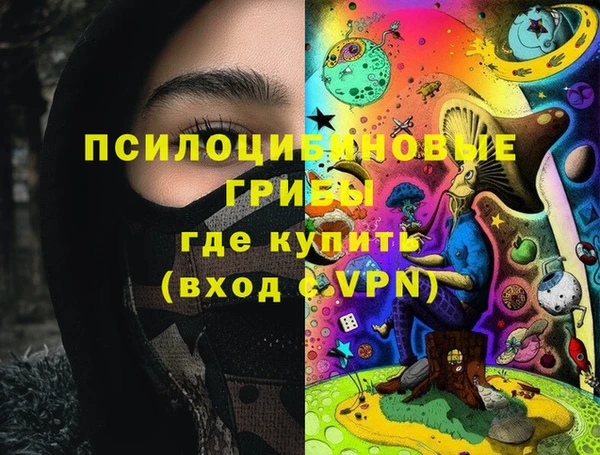 гидропоника Новозыбков