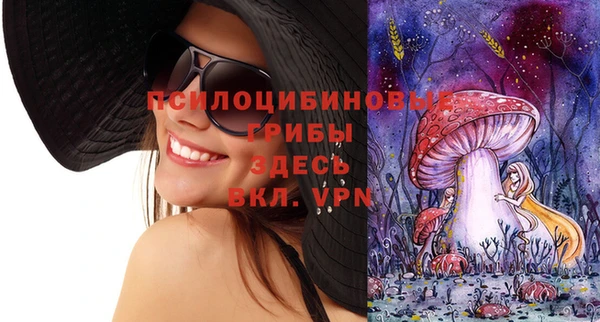 гидра Новодвинск