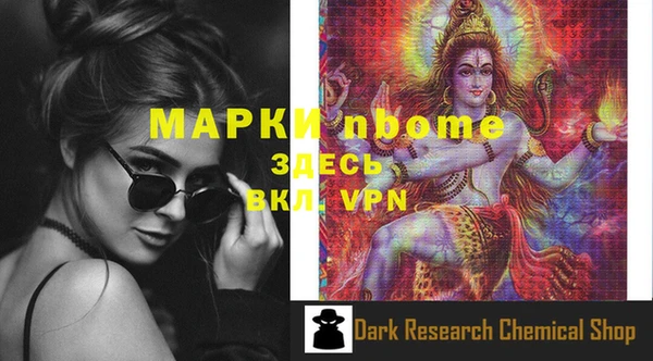 шишки Новокубанск