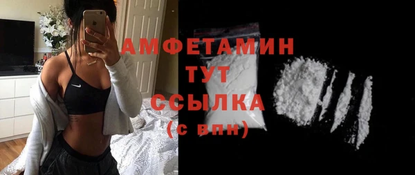 гидра Новодвинск