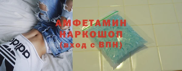 шишки Новокубанск