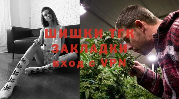 гидра Новодвинск
