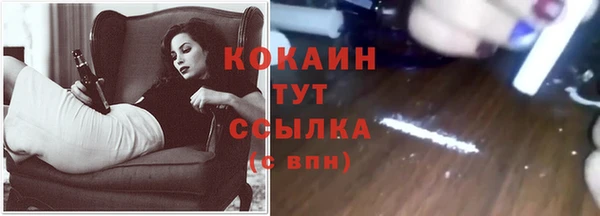 гидропоника Новозыбков