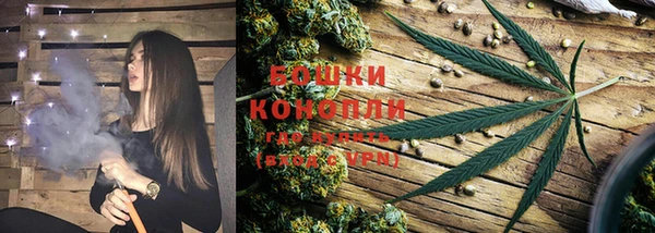гидропоника Новозыбков