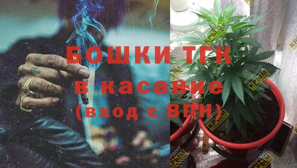 шишки Новокубанск