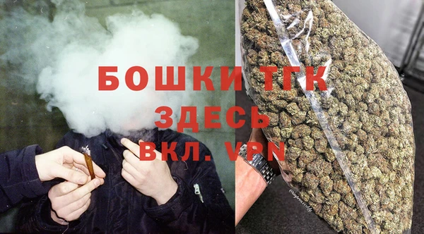 гидра Новодвинск