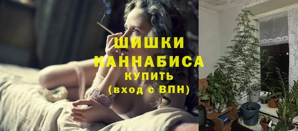 гидропоника Новозыбков