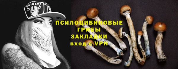 шишки Новокубанск
