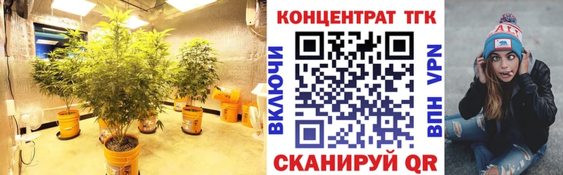ТГК Wax  МЕГА ссылки  Малаховка 