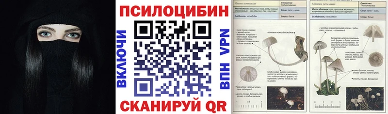 Галлюциногенные грибы MAGIC MUSHROOMS  где найти наркотики  omg зеркало  Малаховка 
